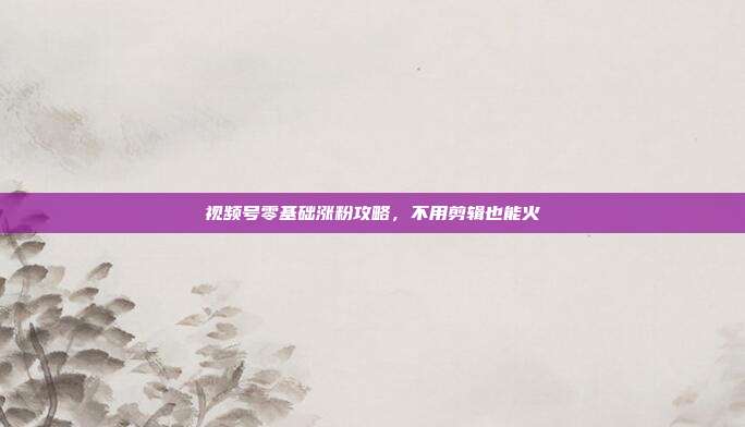视频号零基础涨粉攻略,不用剪辑也能火