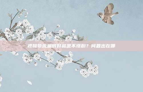 视频号流量很好就是不涨粉?问题出在哪