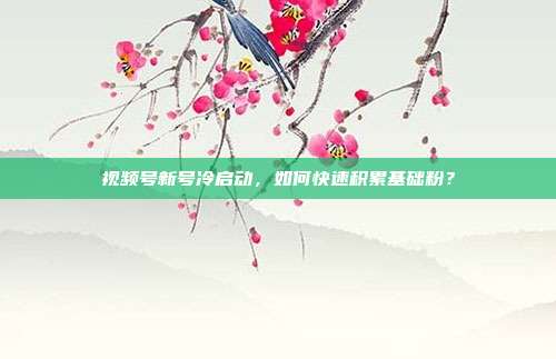 视频号新号冷启动,如何快速积累基础粉?