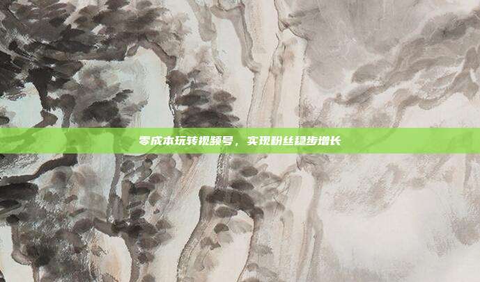 零成本玩转视频号，实现粉丝稳步增长