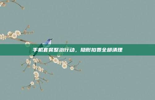手机套餐整治行动，隐形扣费全部清理