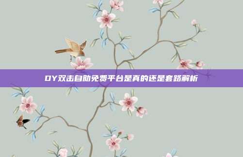 DY双击自助免费平台是真的还是套路解析