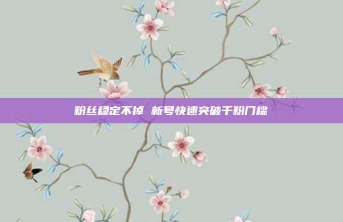 粉丝稳定不掉 新号快速突破千粉门槛
