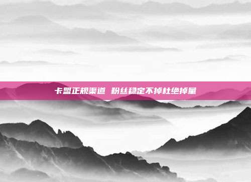 卡盟正规渠道 粉丝稳定不掉杜绝掉量