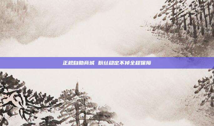 正规自助商城 粉丝稳定不掉全程保障