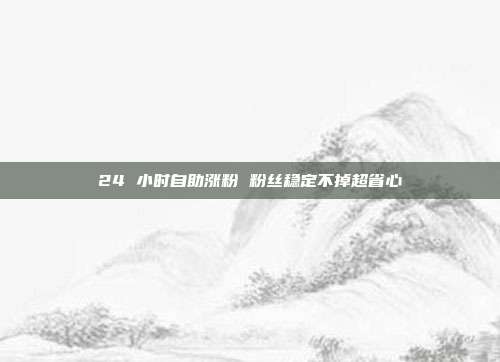 24 小时自助涨粉 粉丝稳定不掉超省心