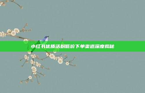 小红书优质活粉低价下单渠道深度揭秘