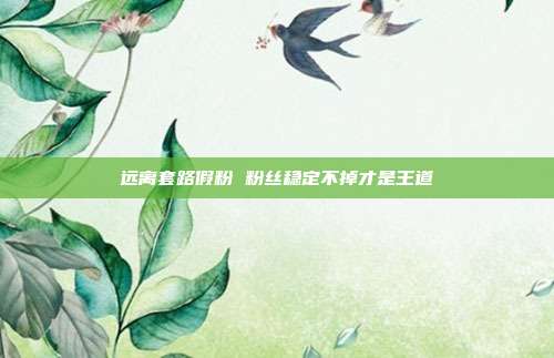 远离套路假粉 粉丝稳定不掉才是王道