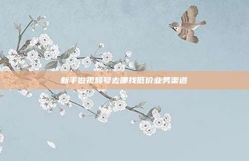 新手做视频号去哪找低价业务渠道