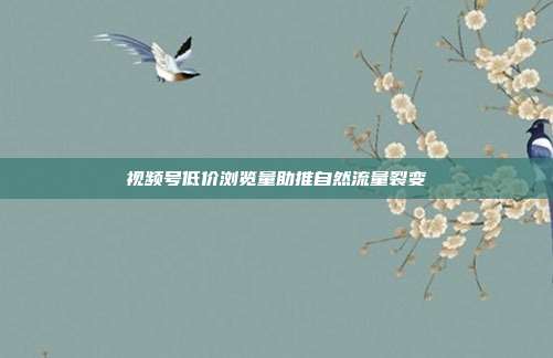 视频号低价浏览量助推自然流量裂变