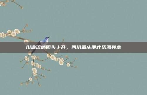 川渝流感同步上升，四川重庆医疗资源共享