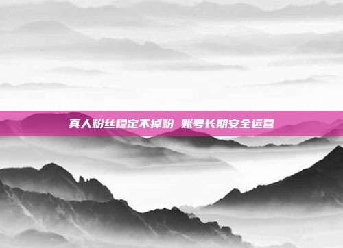 真人粉丝稳定不掉粉 账号长期安全运营