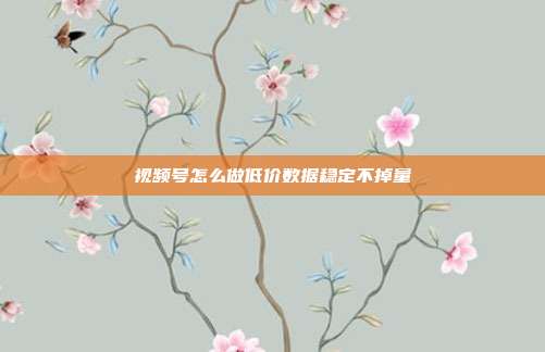 视频号怎么做低价数据稳定不掉量