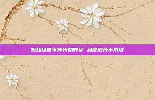 粉丝稳定不掉长期养号 稳步增长不滑坡