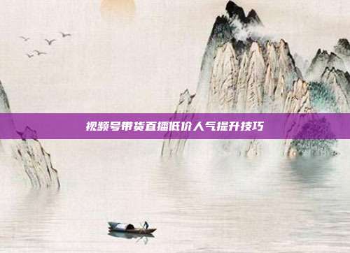 视频号带货直播低价人气提升技巧