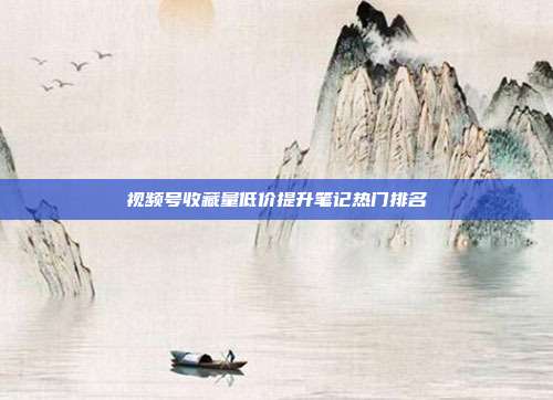 视频号收藏量低价提升笔记热门排名