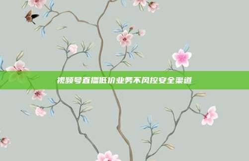 视频号直播低价业务不风控安全渠道