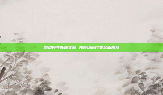 路边停车新规实施 先离场后付费全面普及