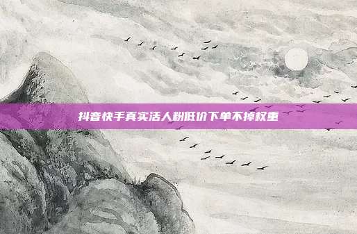 抖音快手真实活人粉低价下单不掉权重