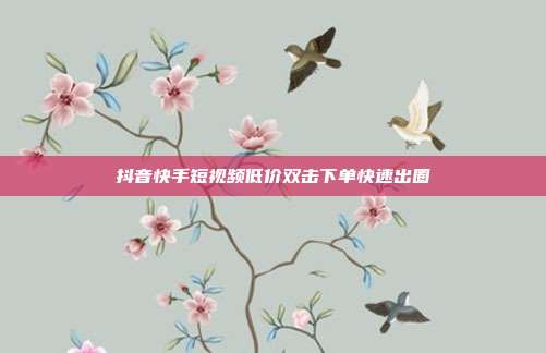 抖音快手短视频低价双击下单快速出圈