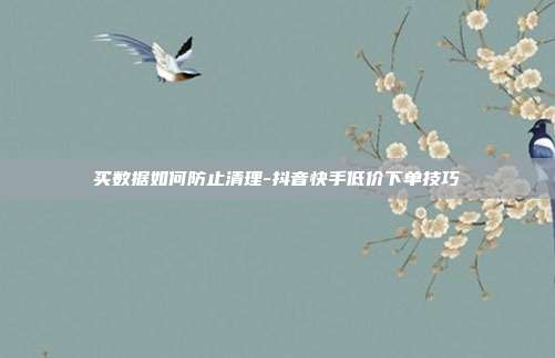 买数据如何防止清理-抖音快手低价下单技巧