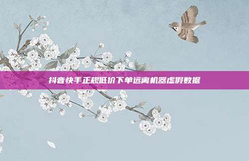 抖音快手正规低价下单远离机器虚假数据