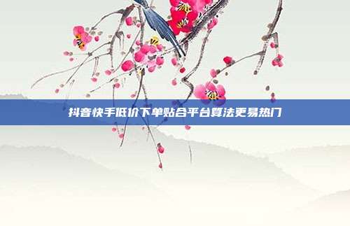 抖音快手低价下单贴合平台算法更易热门