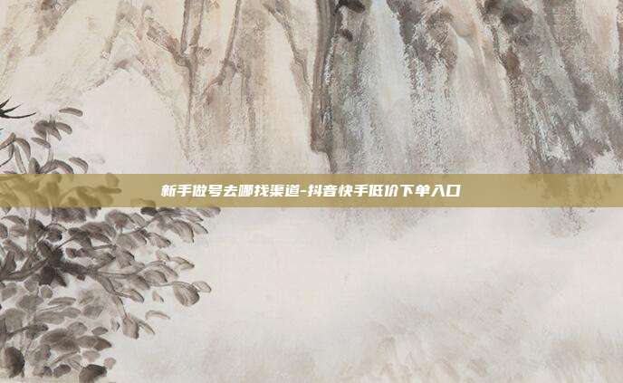 新手做号去哪找渠道-抖音快手低价下单入口