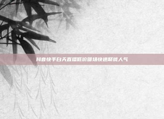 抖音快手白天直播低价暖场快速聚拢人气
