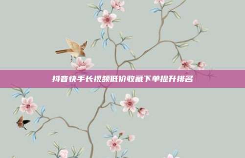抖音快手长视频低价收藏下单提升排名