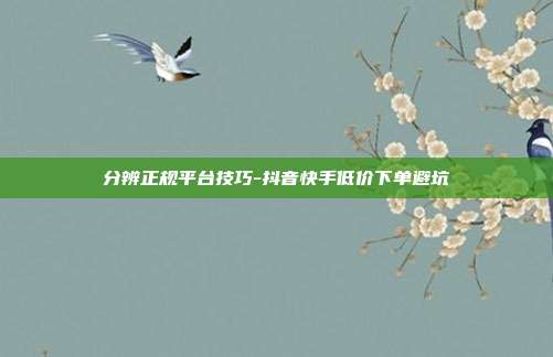 分辨正规平台技巧-抖音快手低价下单避坑