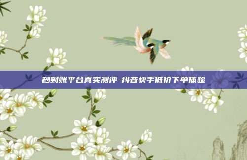 秒到账平台真实测评-抖音快手低价下单体验