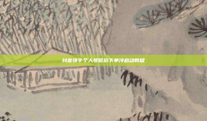 抖音快手个人号低价下单冷启动教程