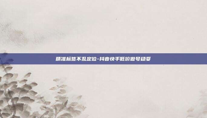 精准标签不乱定位-抖音快手低价做号稳妥