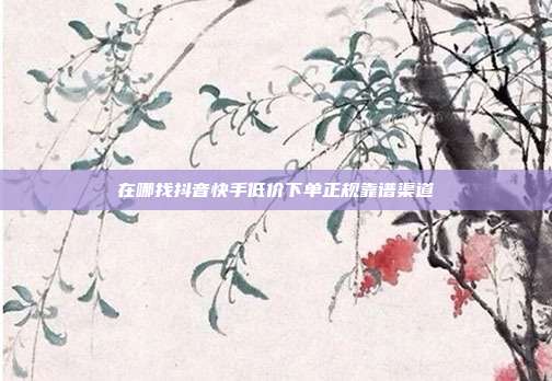 在哪找抖音快手低价下单正规靠谱渠道