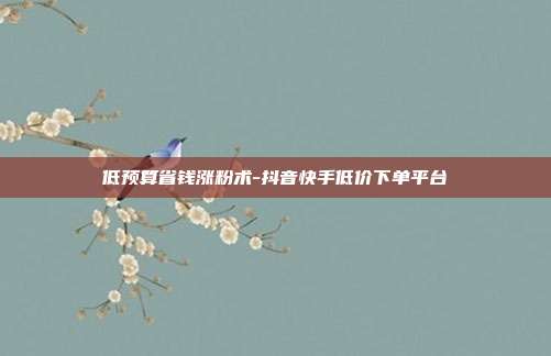 低预算省钱涨粉术-抖音快手低价下单平台