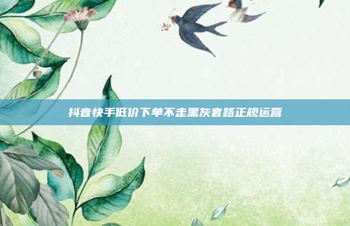 抖音快手低价下单不走黑灰套路正规运营