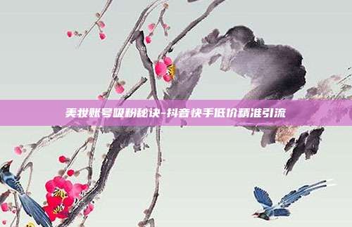 美妆账号吸粉秘诀-抖音快手低价精准引流
