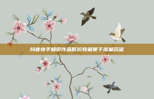 抖音快手知识作品低价收藏便于流量沉淀