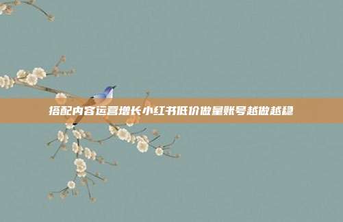 搭配内容运营增长小红书低价做量账号越做越稳