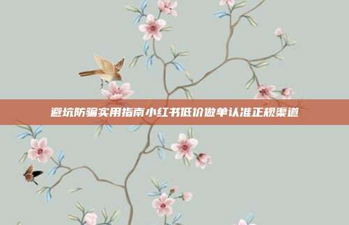 避坑防骗实用指南小红书低价做单认准正规渠道