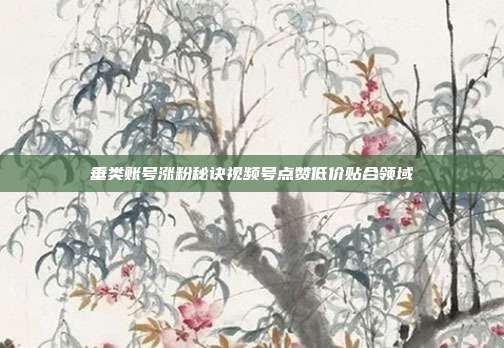 垂类账号涨粉秘诀视频号点赞低价贴合领域