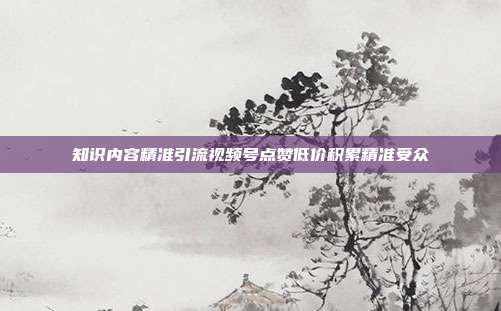 知识内容精准引流视频号点赞低价积累精准受众