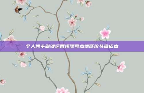 个人博主省钱运营视频号点赞低价节省成本