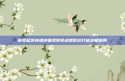 新号起步快速冲量视频号点赞低价打破流量僵局