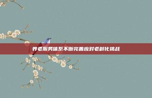 养老服务体系不断完善应对老龄化挑战