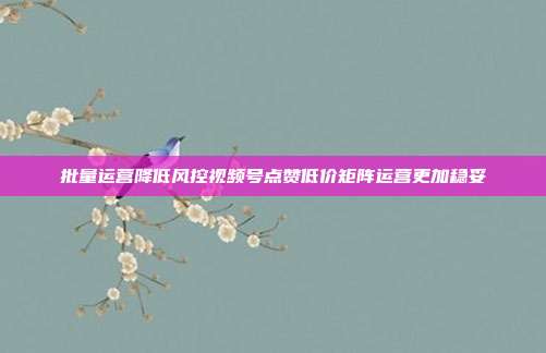 批量运营降低风控视频号点赞低价矩阵运营更加稳妥