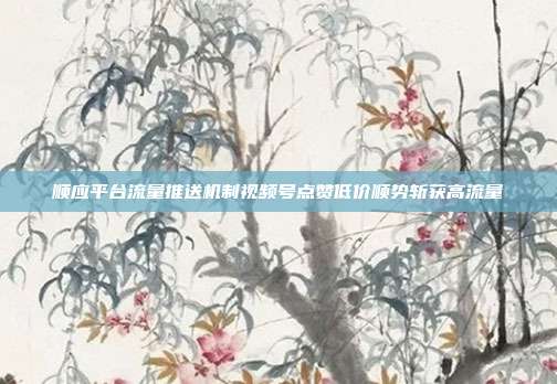 顺应平台流量推送机制视频号点赞低价顺势斩获高流量