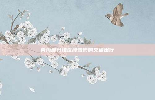 青海部分地区降雪影响交通出行