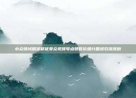 小众领域精准聚拢受众视频号点赞低价细分圈层引流涨粉